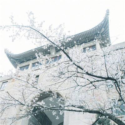 超8亿资金出逃明阳智能,机构狂买浙江新能(名单)丨龙虎榜