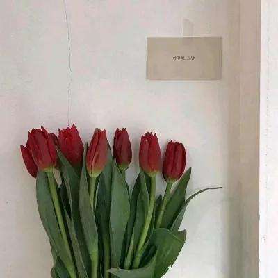 DC到3.2GHz采样率!PXI平台+开放...